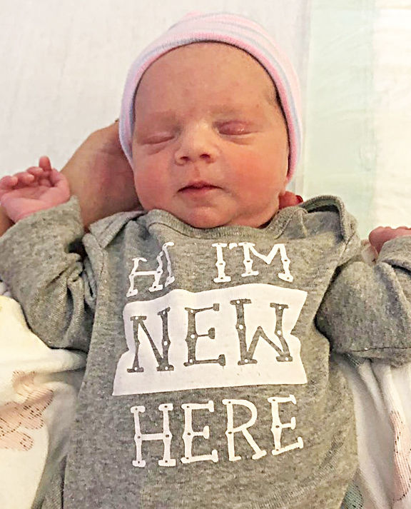 Nicholas 'Cole' John Erickson Jr.